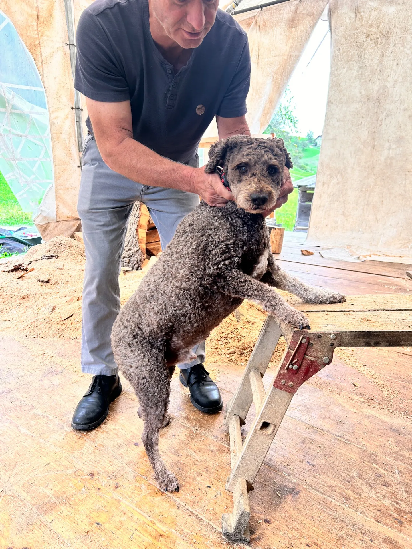 新作〜ホースヘッドと愛犬のベンチ〜